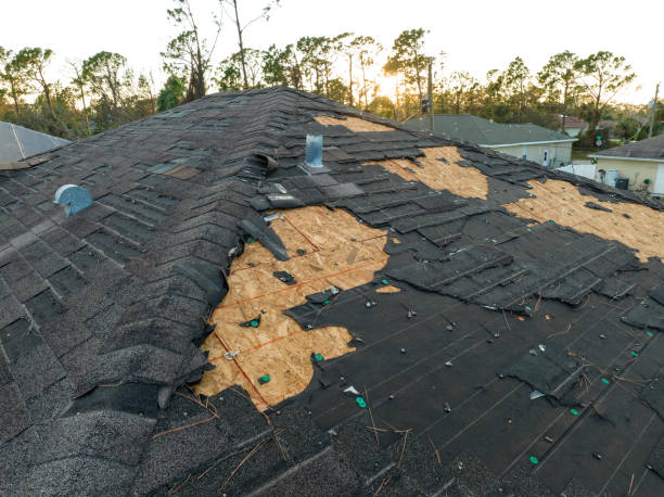 Best Roof Insulation Installation  in USA